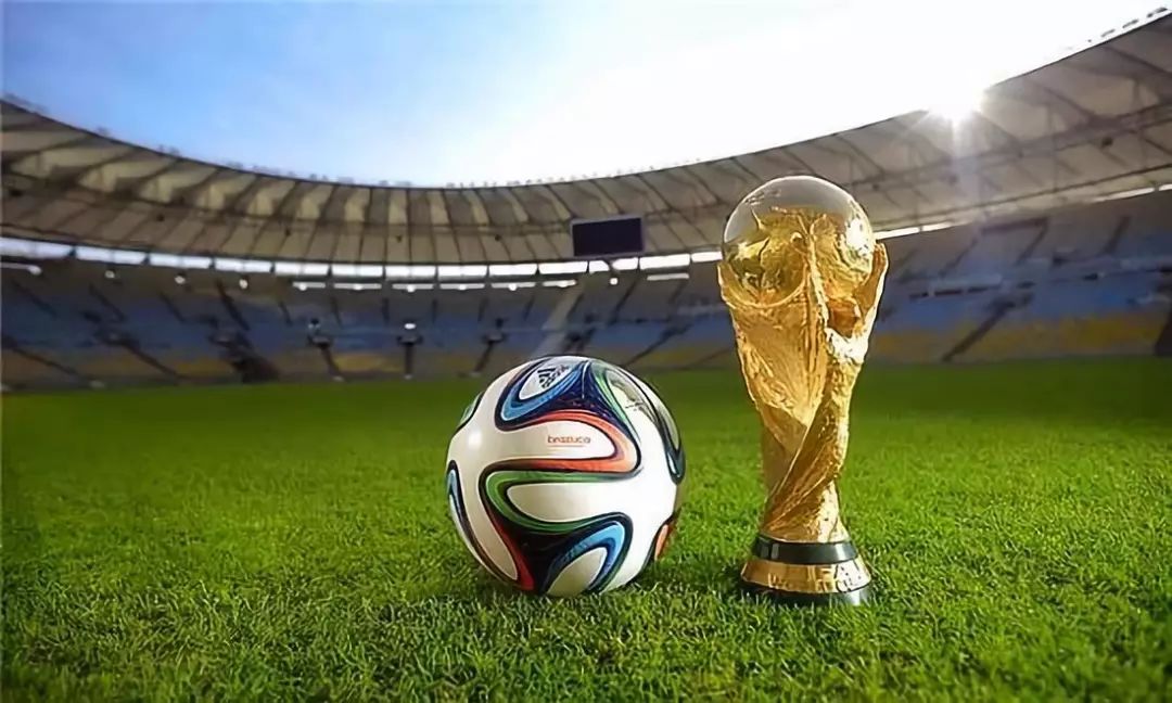 本赛季胜率50%以上球队交手战绩：掘金8胜2负，联盟第一（掘金本季对胜率过半球队战绩8胜2负，居联盟第一）